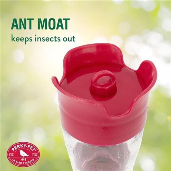 2 Glass Hummingbird Feeders for Outdoors with Perches, Ant Moat, Bee Guards - Picture 6 of 7